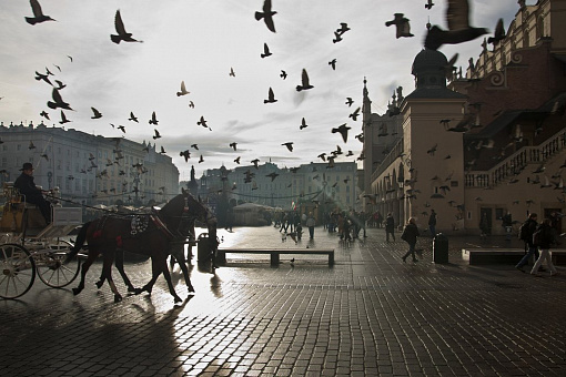 Старый город Кракова
