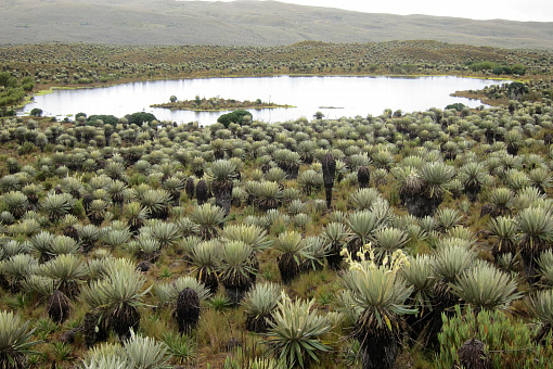 Reserva Natural Nacional Sumapas