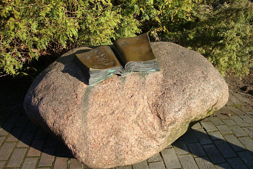 Бронзовая книга