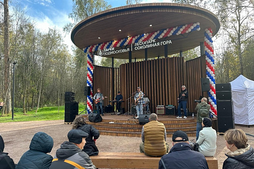 Парк «Соколиная гора»