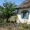 Казацкий хутор Галушковка