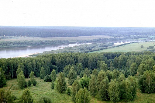 Пойма Оки в районе заповедника