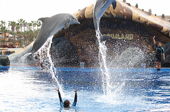 Парк с дельфинарием «Aqualand»