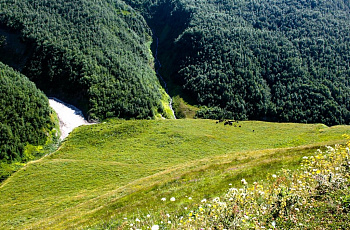 Горные пастбища