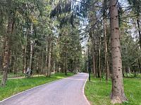 Фото Парка «Соколиная гора»