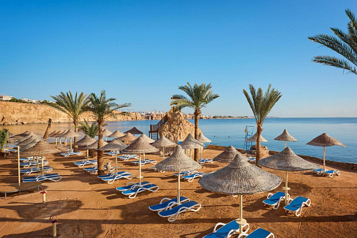Пляж в Dreams Beach Resort Sharm El Sheikh