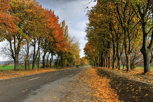 Дороги в Молдове