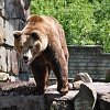 Калининградский зоопарк