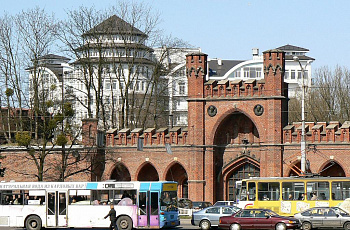Росгартенские ворота