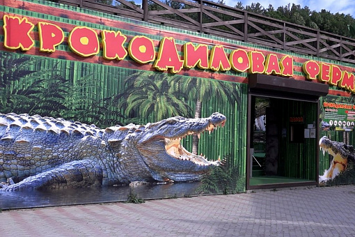 Крокодиловая ферма