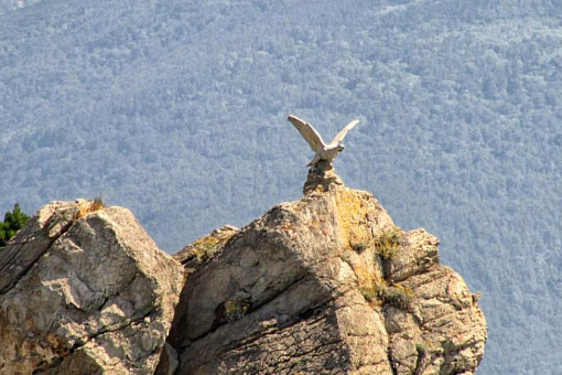 Скульптура белого орла недалеко от замка