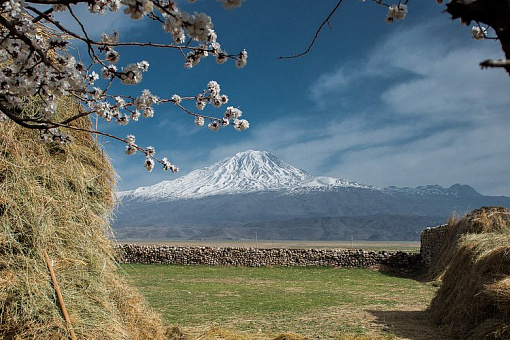 Гора Арарат