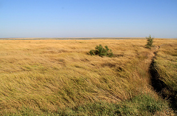Крымская степь