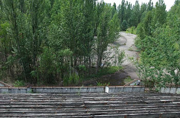 Вид на футбольное поле заросшее деревьями