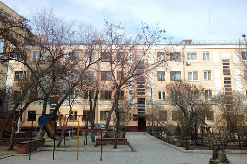 Двор дома Павлова