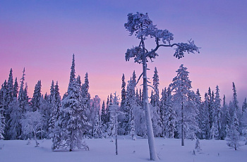 Лапландия
