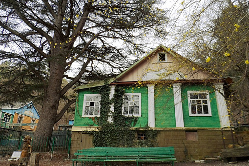 Ливанский кедр