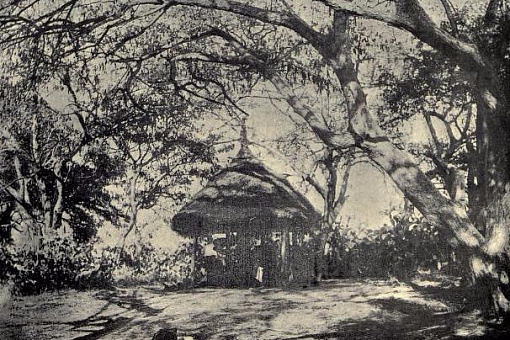 Хижина из Тотийяна на острова Мале, 1909 год