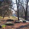 Дендропарк в Кировограде