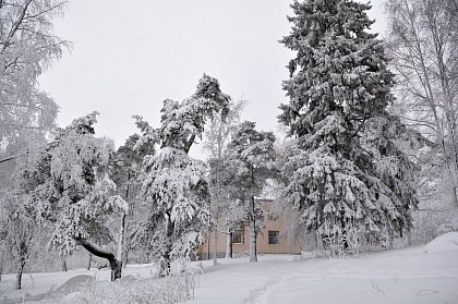 Питкяранта зимой