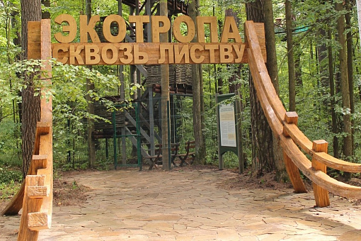 Начало экологической тропы