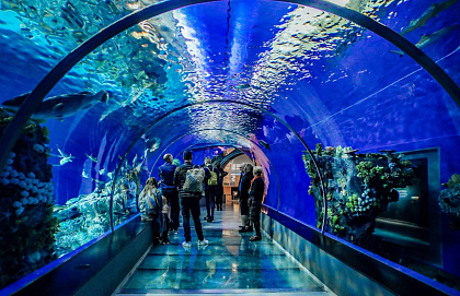 Grand Aquarium Hurghada