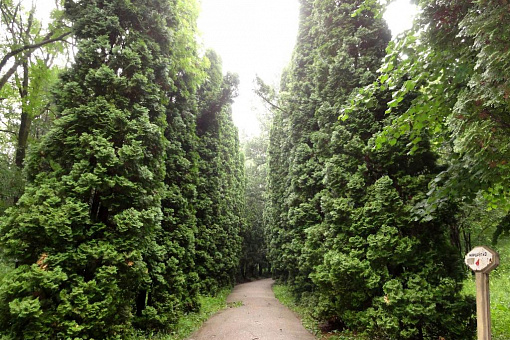 Кисловодск