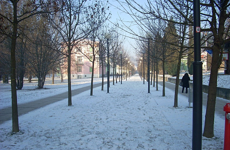Рогашка Слатина
