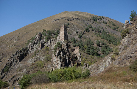 Вовнушки

	
