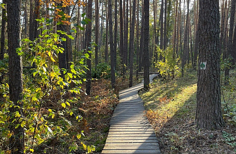 Воронежский заповедник