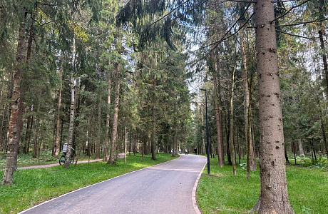 Парк «Соколиная гора»