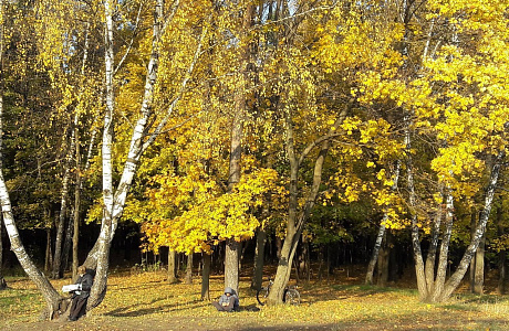 Парк Покровское-Стрешнево