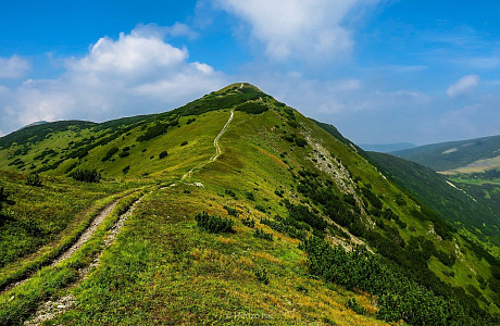 Босния и Герцеговина
