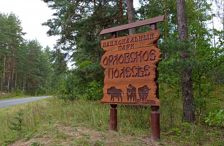 Орловское полесье

	
