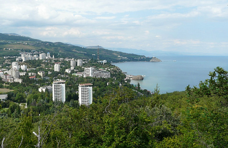 Партенит