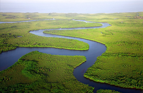 Гамбия